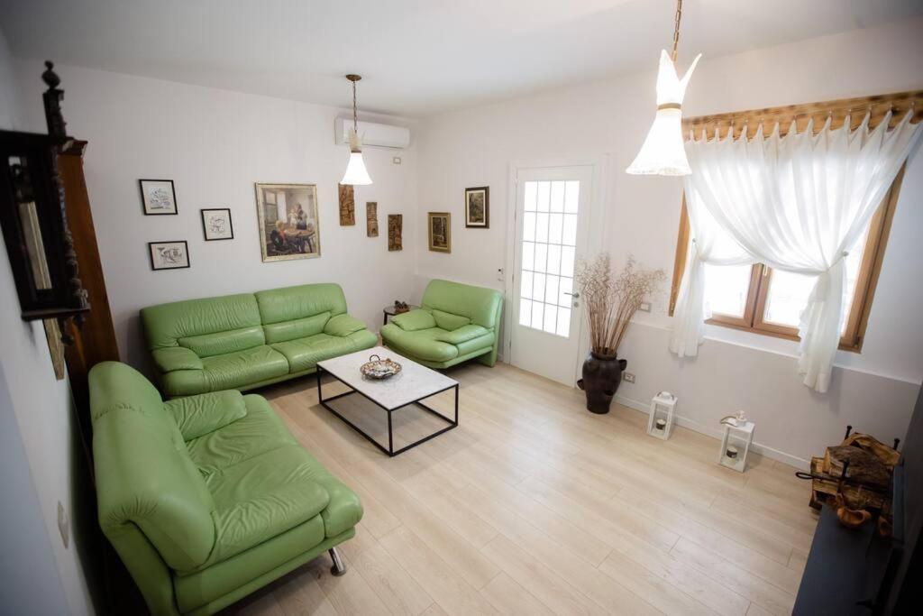 The Pine Grove Holiday home Golem (Tirana)