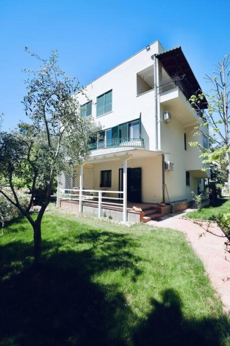 Holiday home The Pine Grove Golem (Tirana)