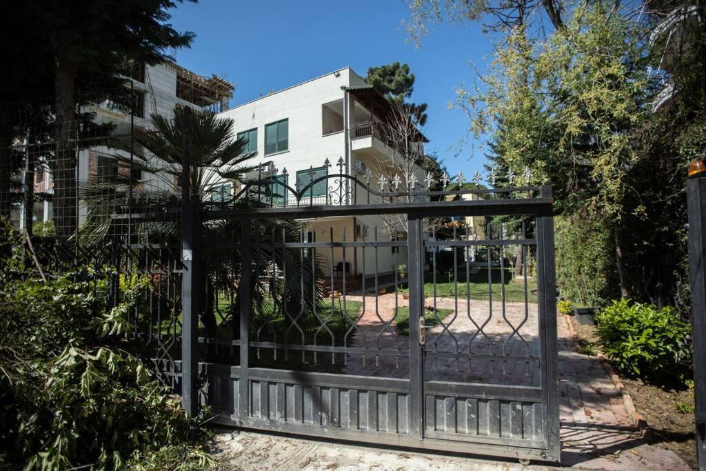 The Pine Grove * Golem (Tirana)